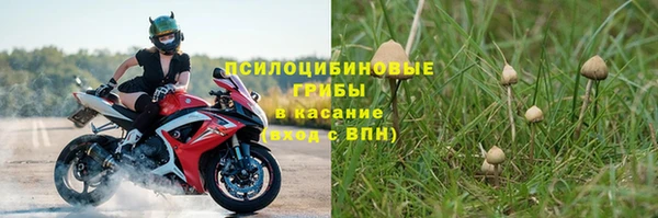 каннабис Баксан